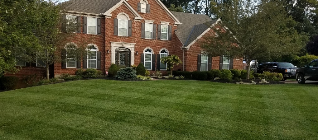 Lawn Fertilizer And Weed Control 100, Trugreen Landscaping